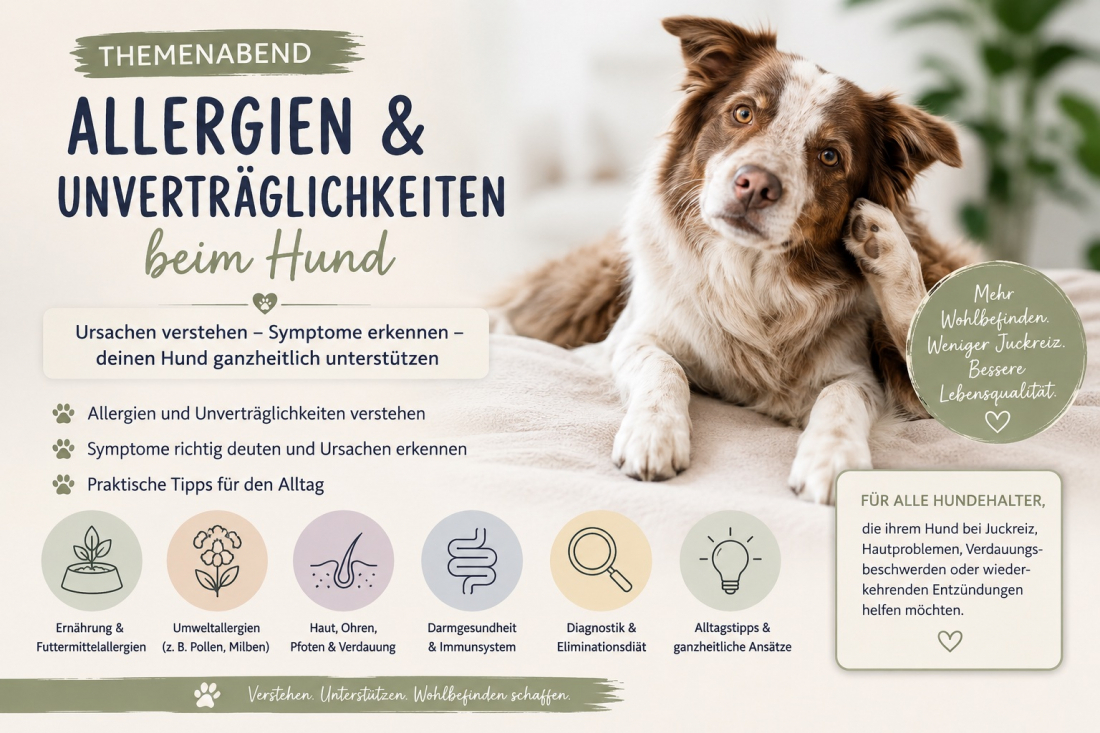 Allergien und Unverträglichkeiten beim Hund - Ursachen verstehen, Symptome erkennen